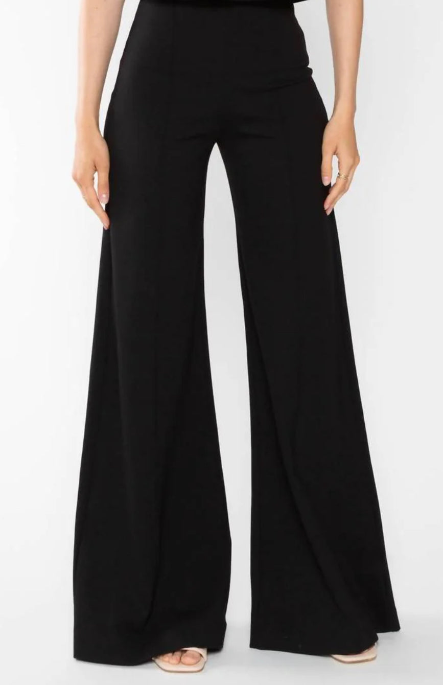 Ridley Rader - Ponte Knit Wide Leg Pant (full length black)
