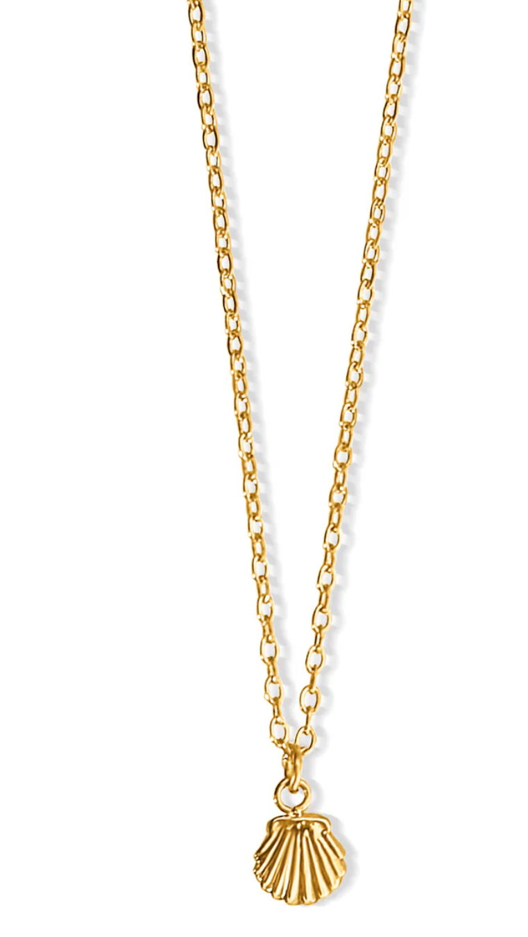 Ellie Vail - Tacha Mini Shell Necklace