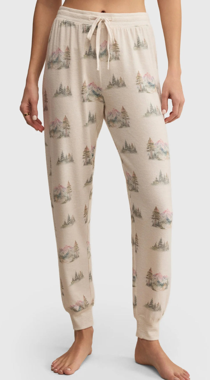 Z-Supply Overnight Road Trip Jogger