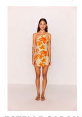 MINKPINK - Estelle Mini Dress