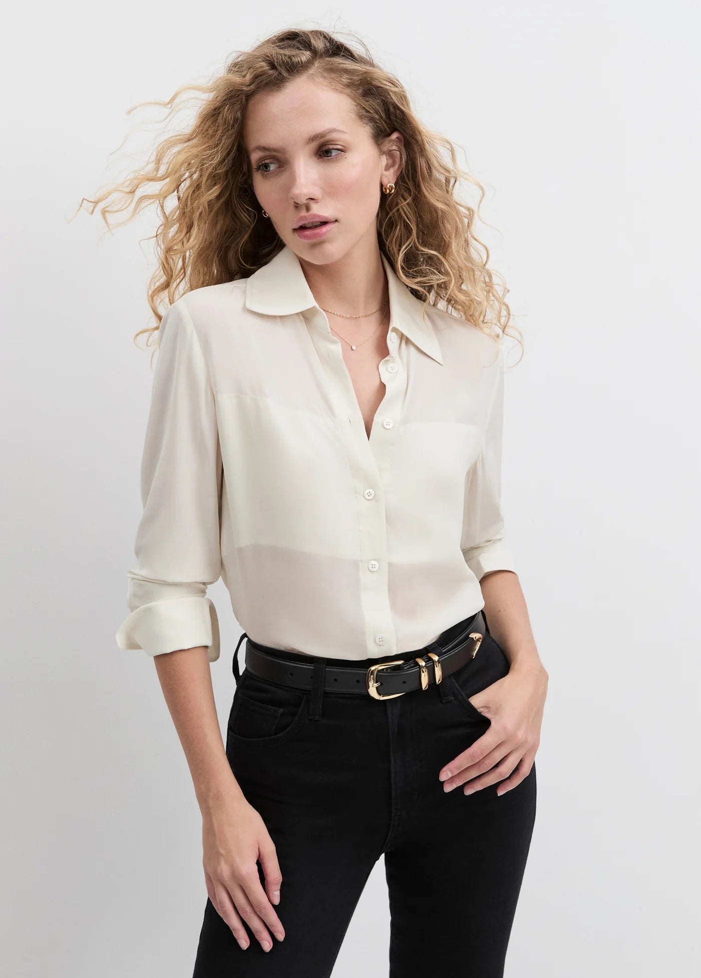 Favorite Daughter - Ivory Sheer Sophistication Top